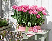 SPRING BALCONY WITH TULIPS