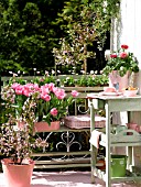 SPRING BALCONY WITH TULIPS