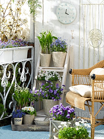 BLUE_AND_WHITE_MIXED__SPRING_FLOWERS_ON_THE_BALCONY