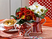 RED AND WHITE PRIMULAS IN MUGS