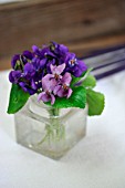 VIOLET POSY IN A GLASS VASE