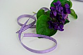 VIOLET BOUQUET RIBBON