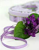 VIOLET BOUQUET RIBBON