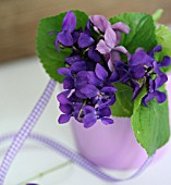 VIOLET BOUQUET IN A PURPLE VASE