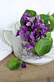 SPRIG OF VIOLETS IN A SUGAR POT