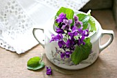 SPRIG OF VIOLETS IN A SUGAR POT