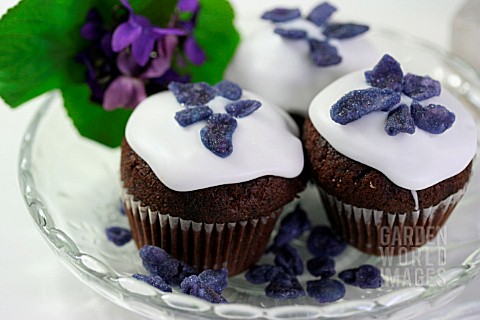 MUFFINS_WITH_GLAZED_VIOLETS