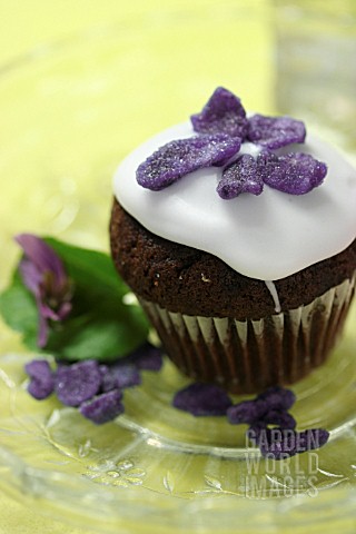 MUFFIN_WITH_GLAZED_VIOLETS