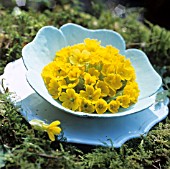 BOWL MADE OF MODELLING MATERIAL WITH PRIMULAS