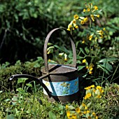 WATERING CAN PAINTED WITH PRIMULA MOTIVE