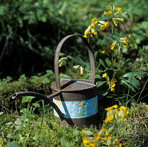 WATERING_CAN_PAINTED_WITH_PRIMULA_MOTIVE