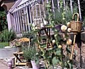 LAVENDER POTS AND AVIARY