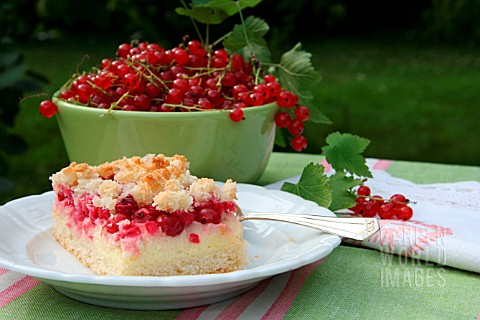 RED_CURRANT_CAKE_AND_A_BOWL_OF_RED_CURRANTS