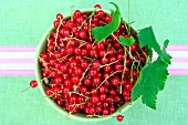RED CURRANTS IN A BOWL