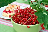 RED CURRANTS AND PIECE OF CAKE