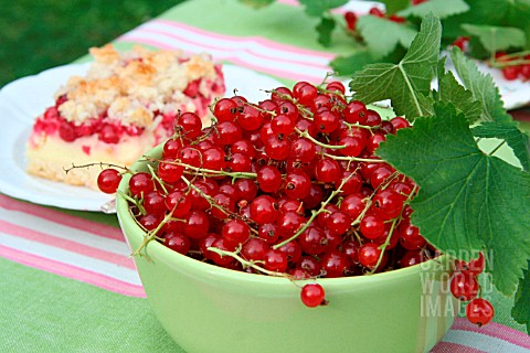 RED_CURRANTS_AND_PIECE_OF_CAKE