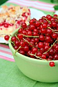 RED CURRANTS AND PIECE OF CAKE