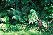 GARDEN WITH FERNS AND A STATUE