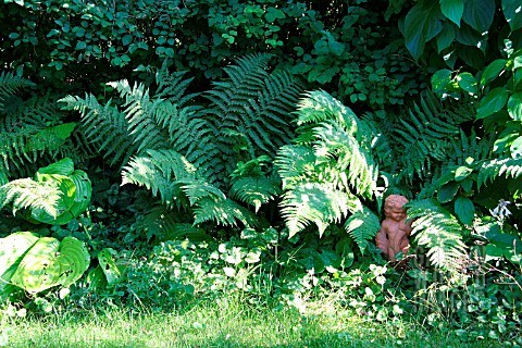 GARDEN_WITH_FERNS_AND_A_STATUE