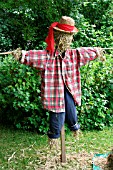 SCARECROW IN GARDEN