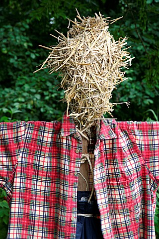 SCARECROW_HEAD_MADE_OF_STRAW