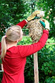 BUILDING A SCARECROW: WRAP STRAW TO FORM HEAD