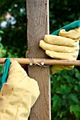 BUILDING A SCARECROW: FASTEN BAMBOO POLE ONTO WOODEN POST