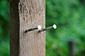 BUILDING A SCARECROW: PUT TWO NAILS INTO WOODEN POST