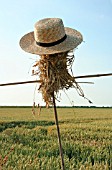 SCARECROW - HEAD MADE OF STRAW WITH HAT