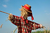 SCARECROW