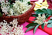 ELDERFLOWER IN A BASKET