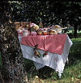 TABLE SETTING - WITH REAL APPLES AS TABLE CLOTH WEIGHTS