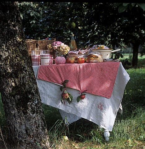 TABLE_SETTING__WITH_REAL_APPLES_AS_TABLE_CLOTH_WEIGHTS