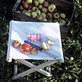 FOLDING STOOL WITH NAME TAG