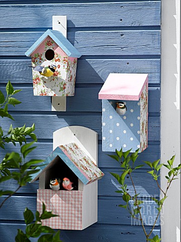 DECORATED_BIRD_BOXES