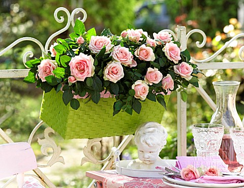 ROSES_IN_THE_BALCONY_FLOWERBOX