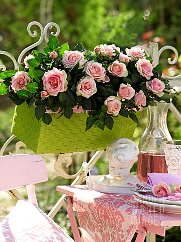 ROSES_IN_THE_BALCONY_FLOWERBOX