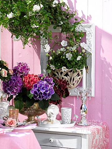 FLOWERY_DECORATED_BALCONY_WITH_A_CLIMBING_ROSE