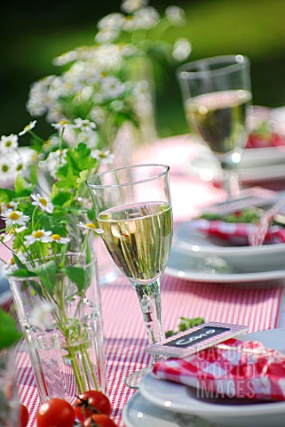 SUMMER_TABLE_DECORATED_WITH_HERBS__CHAMOMILE_AND_MINT