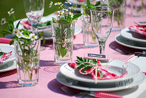 SUMMER_TABLE_DECORATED_WITH_HERBS