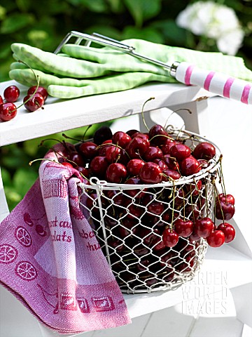 CHERRIES_IN_A_BASKET