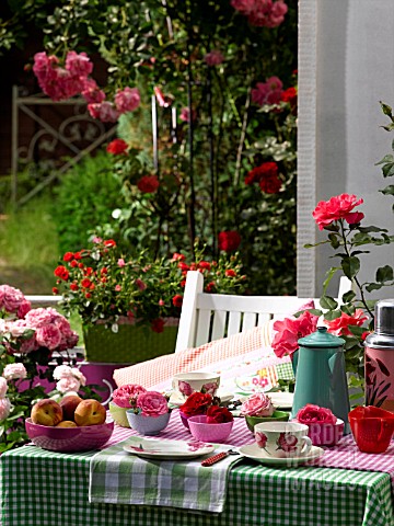 COLOURFUL_BALCONY_TABLE_WITH_ROSES