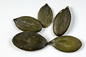 PUMPKIN SEEDS