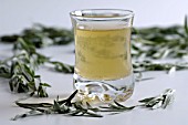 ARTEMISIA ABSINTHIUM