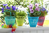 FLOWER POTS IN PLASTIC BASKETS