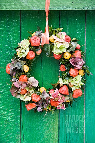 FLORAL_WREATH_WITH_PHYSALIS_AND_HYDRANGEA