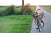 RURAL SCENE OF A BICYCLE AT THE SIDE OF A ROAD