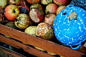 CRATE OF APPLES FOR THE BIRDS