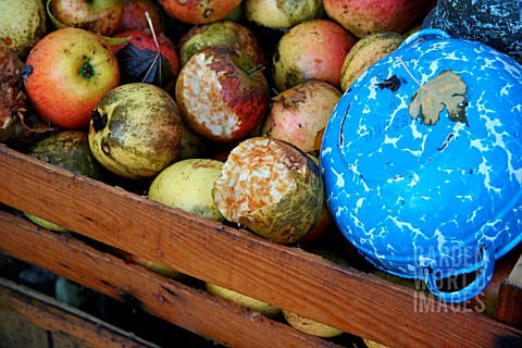 CRATE_OF_APPLES_FOR_THE_BIRDS