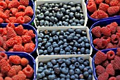 BLUEBERRIES AND RASPBERRIES